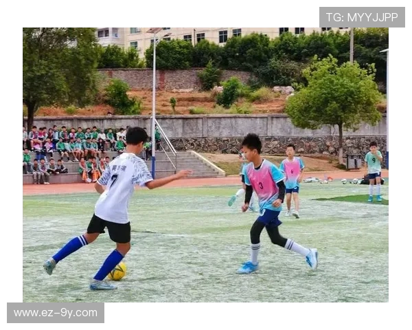 当热爱变成回忆那些年我们追过的绿茵梦